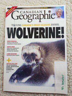 Canadian Geographic Wolverine Tracking Canada's Most Elusive Animal Issue!